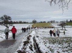 IMG_0339_ATW16