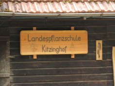 IMG_0005_HP