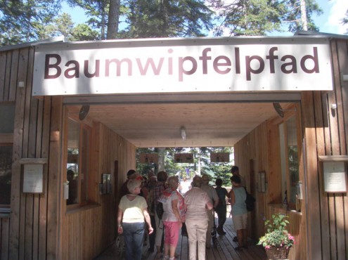 BW7