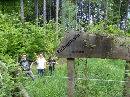 eiche5